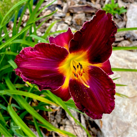 About My Shop - Picture 1 of 1